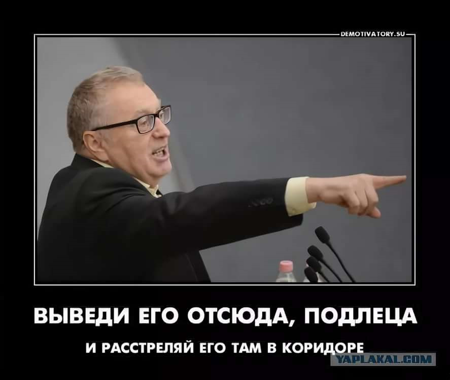 Подлец 7 букв. Выведи его... И расстреляй там в коридоре. Жириновский расстреляй его в коридоре. Жириновский выведи его отсюда. Жириновский расстрелять.