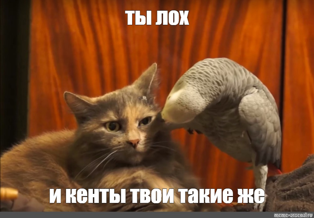 РўС‹ Р»РѕС…